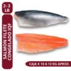 Salmon Filete Congelado IQF 2/3 - Oceano caja