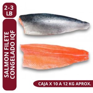 Salmon Filete Congelado IQF 2/3 - Oceano caja