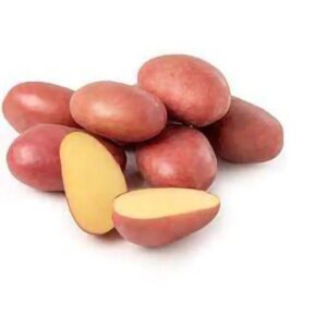 Papa mediana - 23 kilos (malla)