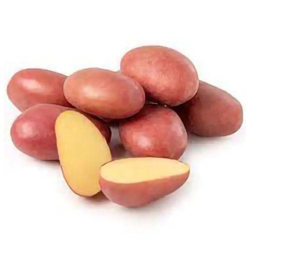 Papa mediana - 23 kilos (malla)