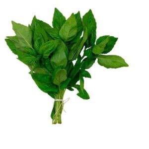 Albahaca fresca  (kilo)