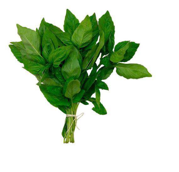 Albahaca fresca  (kilo)