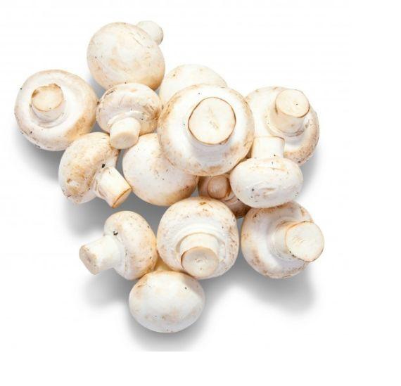Champiñones paris - l (kilo)