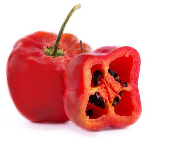Rocoto rojo (kilo)