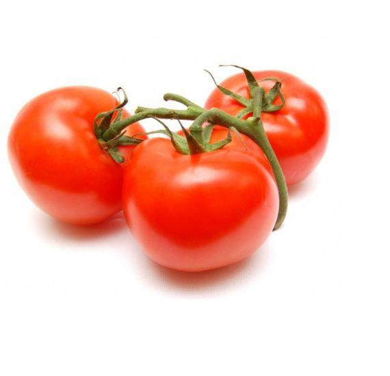 Tomate larga vida l - 20 kilos aprox.. (caja)