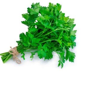 Cilantro (paquete)