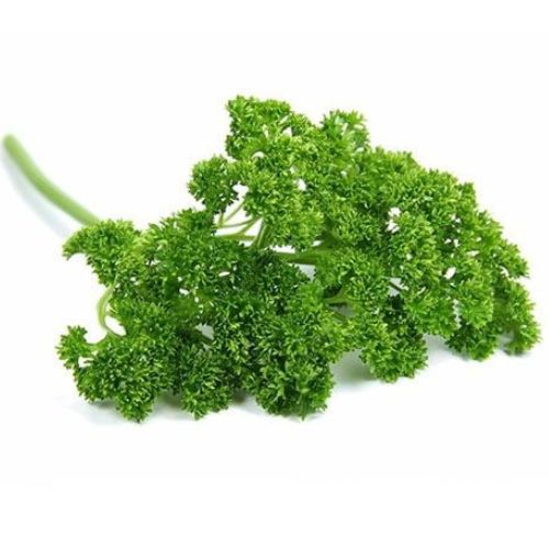 CEBPEREJIL CRESPOOLLA BLANCA Perejil crespo