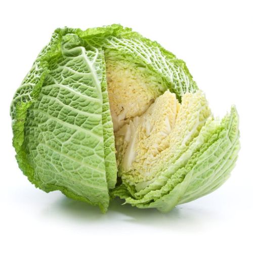 REPOLLO CRESPO Repollo crespo